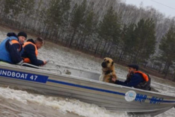 Павлодарские спасатели продолжают противопаводковые работы в Северо-Казахстанской области