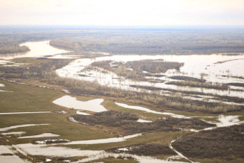 С начала паводка в ЗКО эвакуировано свыше 13 тысяч человек