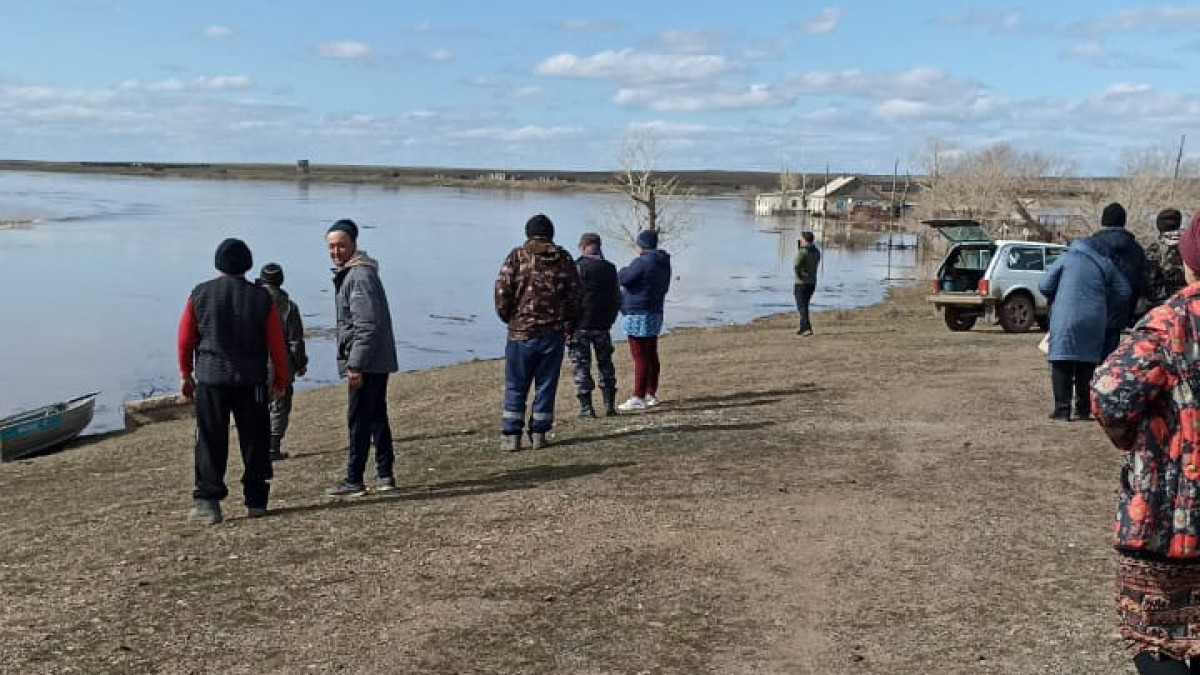 Фото Дианы Сулеймановой