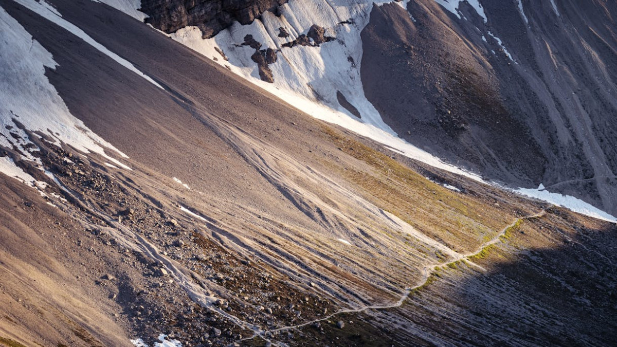 pexels.com / иллюстративное