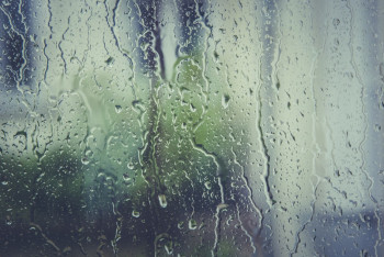 Дворы и дома подтопило после дождя в Жамбылской области