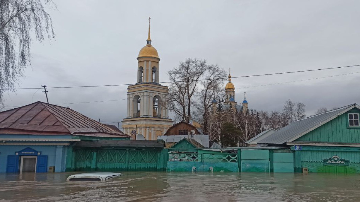 Наталья Волкова.