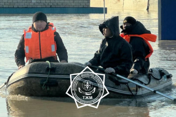 Фотография к новости: Опубликованы контакты комиссий по оценке ущерба от паводков в регионах РК