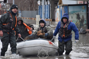 Свыше 18 тысяч пострадавших от паводков вернулись домой — МЧС