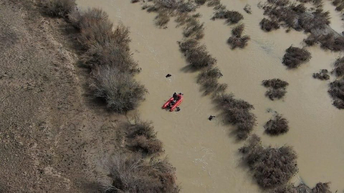 ДЧС области Абай