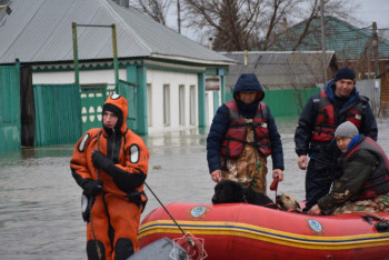 Свыше 5,8 тыс. казахстанских семей получили господдержку после паводков
