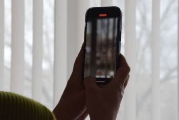 Жительницу Петропавловска наказали за фейк о действиях волонтёров