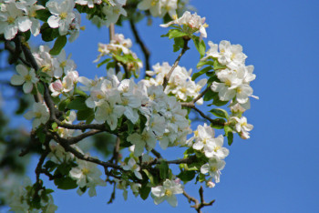 По-летнему жарко будет в ближайшие дни в мегаполисах Казахстана