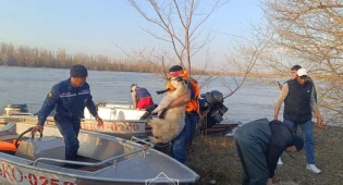 В подтопленных районах СКО и ЗКО продолжают эвакуацию