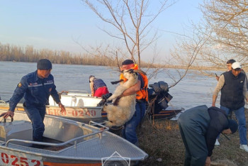 В подтопленных районах СКО и ЗКО продолжают эвакуацию