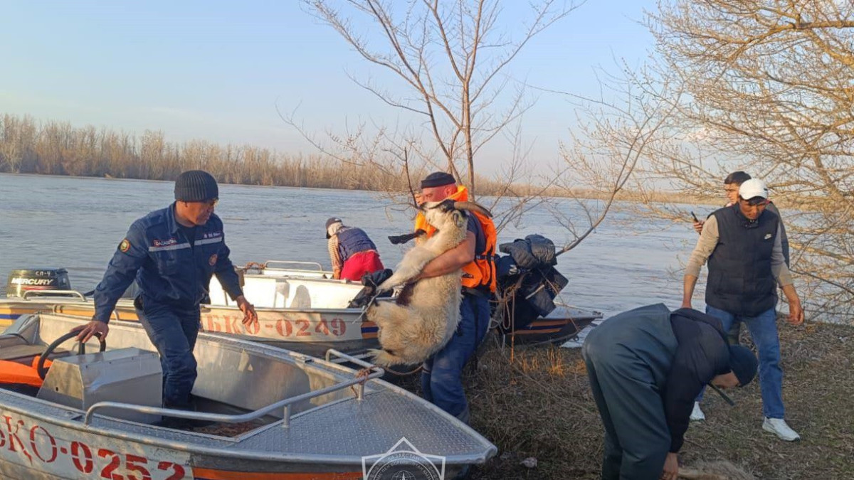В подтопленных районах СКО и ЗКО продолжают эвакуацию
