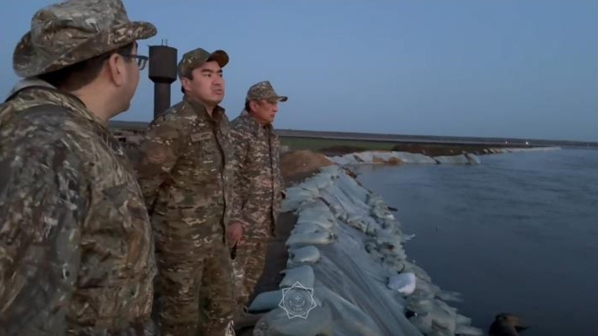 стопкадр из видео/telegram/qr_tjm