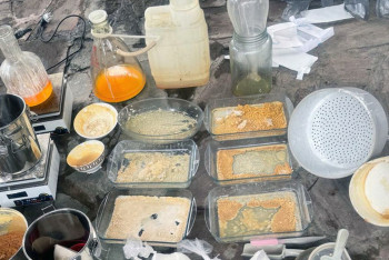 Подозреваемого в создании подпольной нарколаборатории задержали в Алматинской области