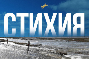 Фильм "Стихия" о паводках в Казахстане покажут на экранах страны