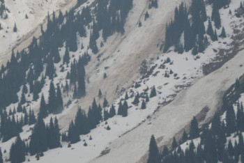 Грунтовая лавина сошла в Алматы