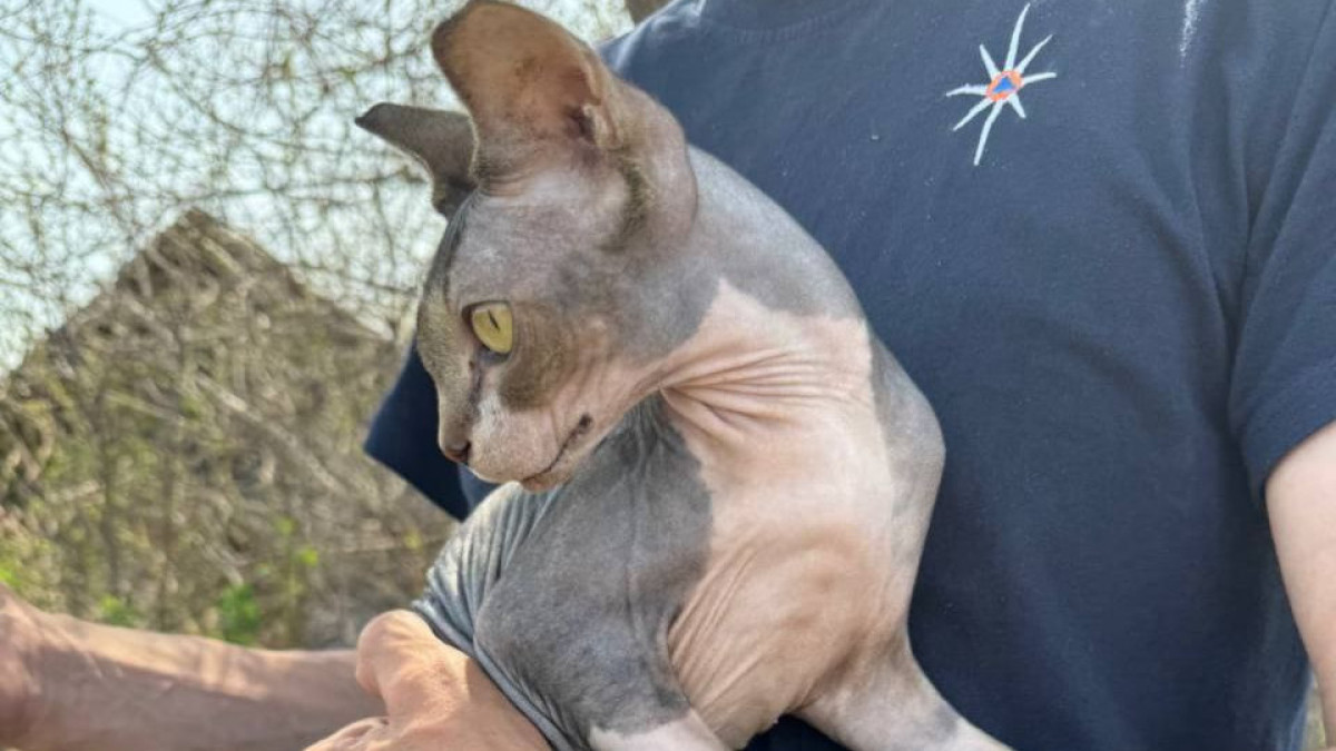 МЧС РК
