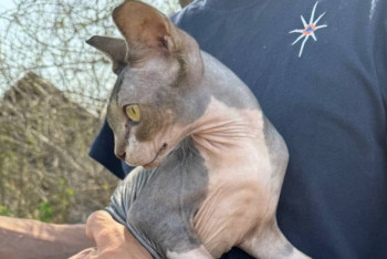 Фото первых спасённых из затопленных дач Уральска поделились в МЧС