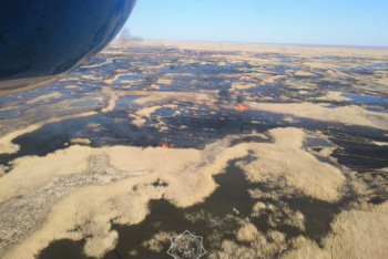 С помощью вертолёта тушат камыш в резервате Алматинской области