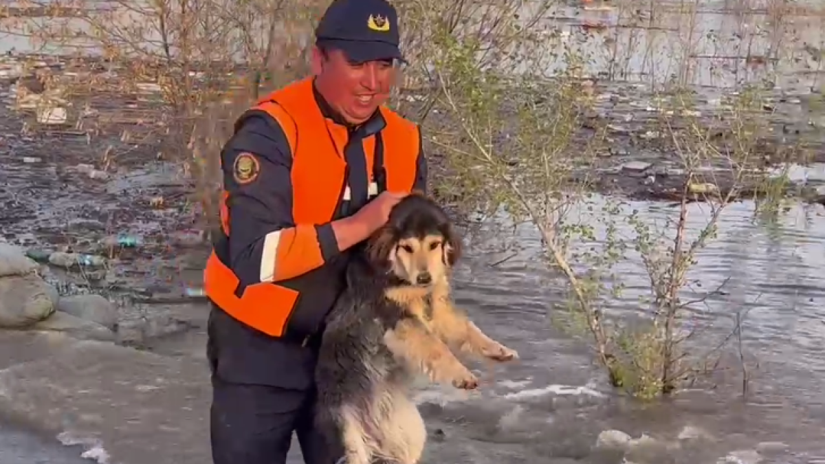 скриншот с видео МЧС РК