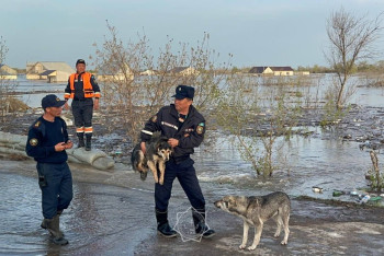 Паводки: ещё одну компенсацию предусмотрели для пострадавших