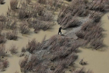 Фотография к новости: В Абайской области нашли тело утонувшего парня