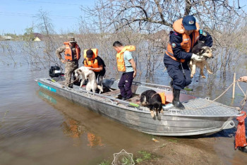 Паводки в Казахстане: в ликвидации последствий принимают участие более 32 тысяч человек