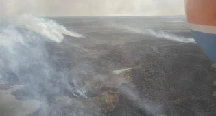 Горящий камыш не могут потушить в Алматинской области