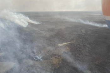 Горящий камыш не могут потушить в Алматинской области