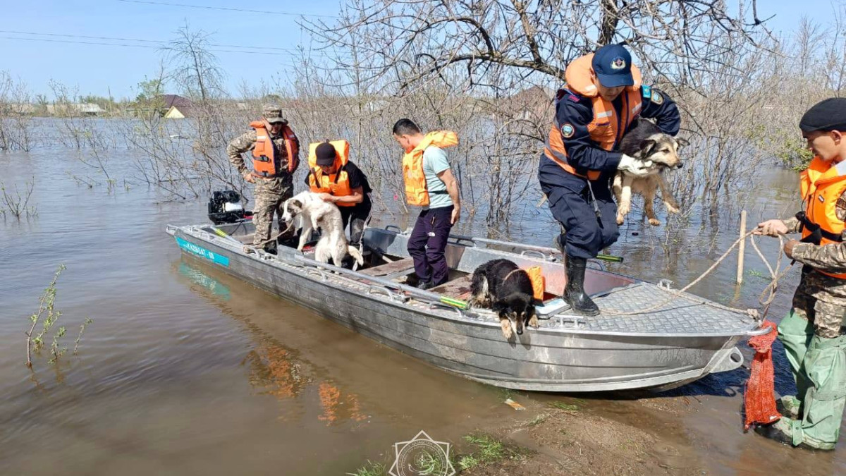 Паводки в Казахстане: в ликвидации последствий принимают участие более 32 тысяч человек