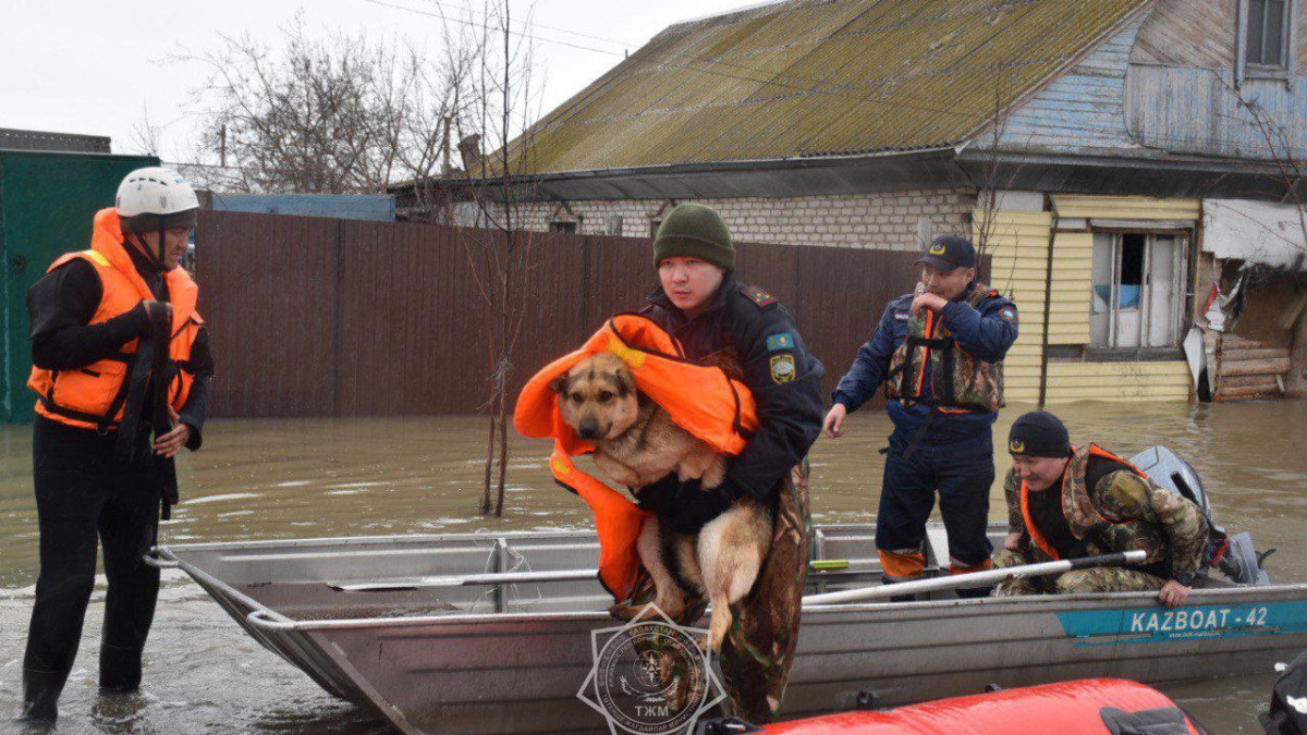Паводки в Казахстане: свыше 25 тысяч человек вернулись в свои дома