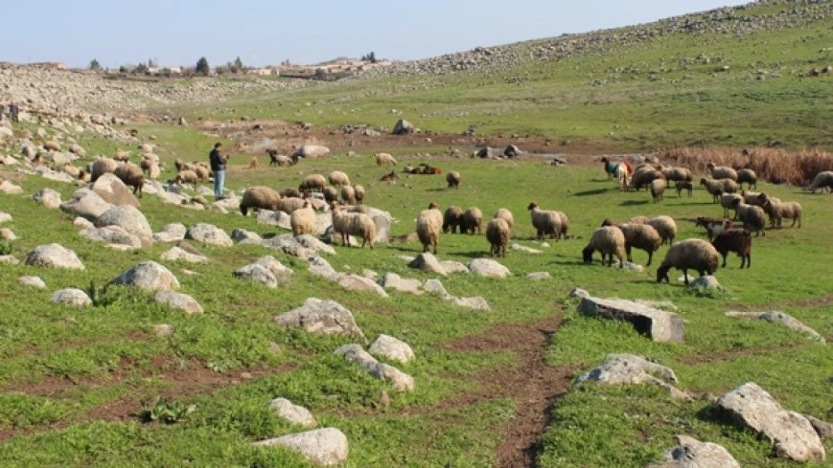 hawarnews.com