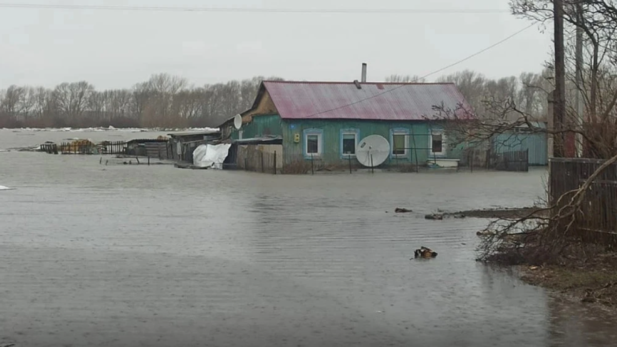 baigenews.kz/Наталья Волкова