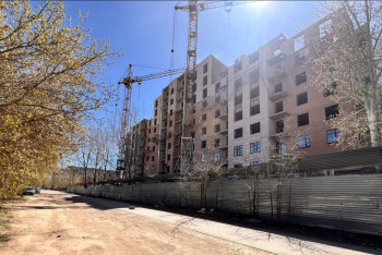 Фотография к новости: В Караганде застройщик, вырубивший десятки деревьев пытается уйти от наказания