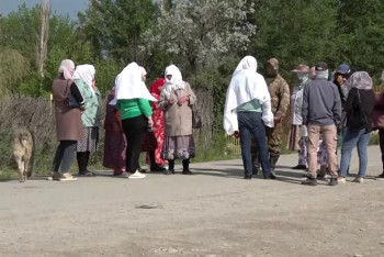 Тучи насекомых атакуют жителей Туркестанской области