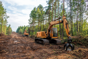 За 20 лет площадь лесов в мире уменьшилась почти на миллион квадратных километров