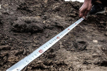 Прокуратура Жамбылской области вернула 4,7 тыс га земли в госфонд