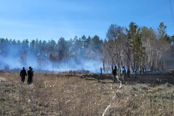 Природный пожар тушат в резервате "Семей Орманы"