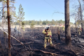 Горение на территории Семей орманы локализовано