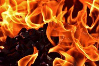 Камыш горит вдоль берега Балхаша