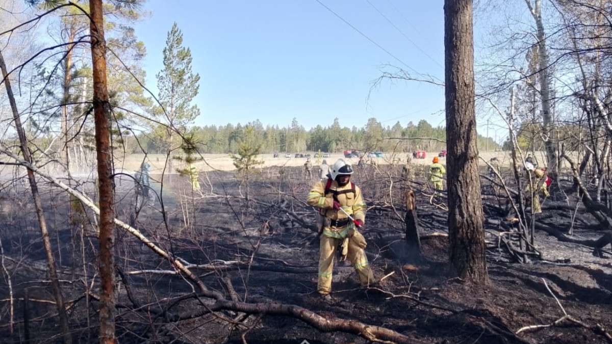 ДЧС области Абай.
