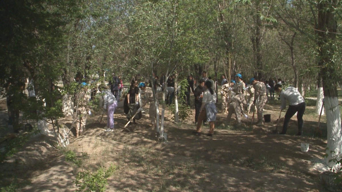 В Кызылординской области проходит акция "Жасыл аймақ"