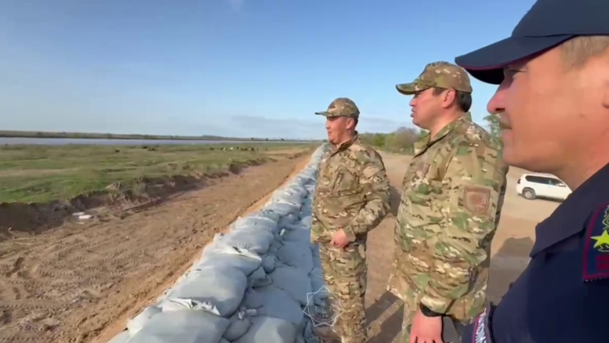 скриншот с видео