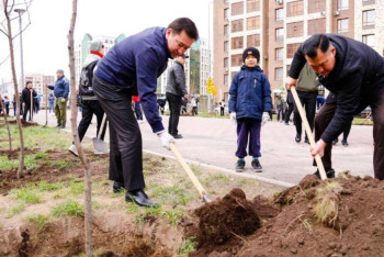 Более 100 отцов  вместе с детьми посадили деревья в Астане