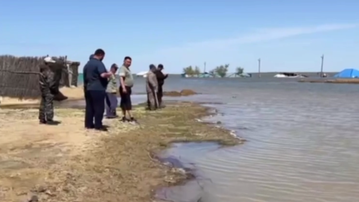 скриншот с видео