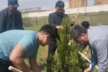 В Жамбылском районе ветераны спорта личным примером приобщили молодых спортсменов к акции