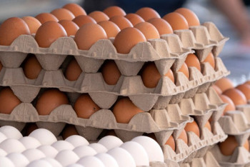 С 1 мая вводится полугодовой запрет на ввоз в Казахстан куриных яиц