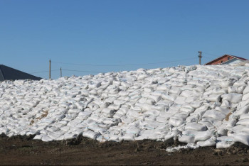 В Атырау растёт уровень воды в реке Жайык