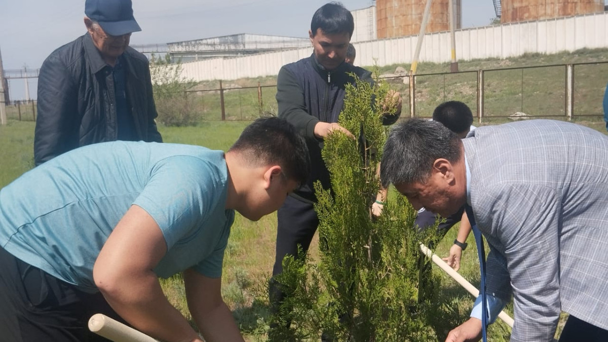В Жамбылском районе ветераны спорта личным примером приобщили молодых спортсменов к акции