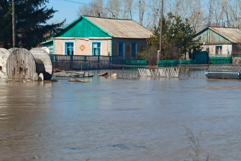 Как решить дефицит кадров в сфере водных ресурсов, рассказали во время телемарафона
