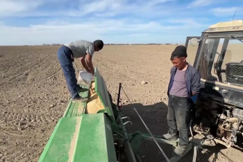 Фотография к новости: Как скажутся паводки на урожае, сообщил учёный